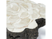 CHLOE FOSSIL CLAM LAVA COFFEE TABLE