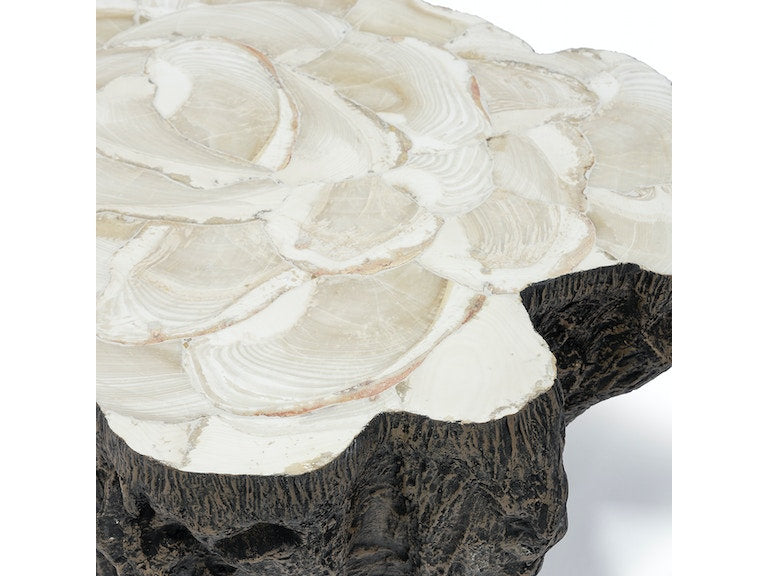 CHLOE FOSSIL CLAM LAVA COFFEE TABLE