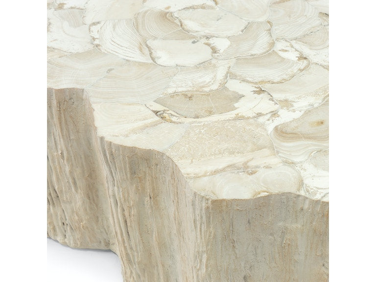 CAMILLA FOSSILIZED CLAM COFFEE TABLE