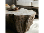 CHLOE FOSSIL CLAM LAVA COFFEE TABLE