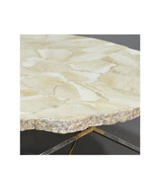 LOREN FOSSILIZED CLAM COFFEE TABLE